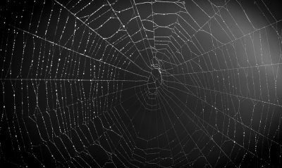 dark web sites 2026