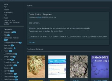 best darknet market for psychedelics